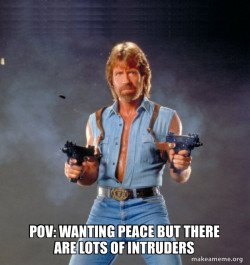 Chuck Norris