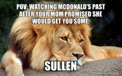 Confession Lion
