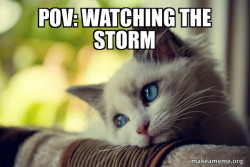 First World Cat Problems