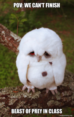 Sad Owl