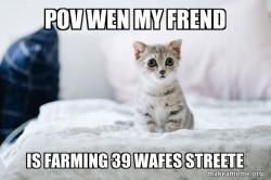 Cute Kitten
