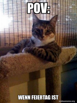 The Most Interesting Cat in the World