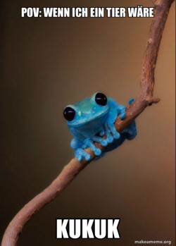 Small Fact Frog