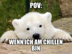 Popular Opinion Bear