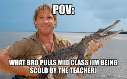 Steve irwin