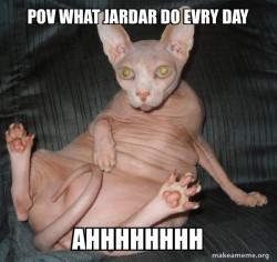 Hairless Cat