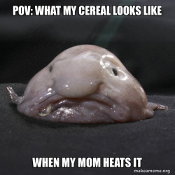 Blobfish