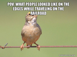 Common Opinion Sparrow