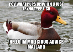 Malicious Advice Mallard