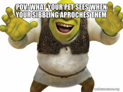 Shrek