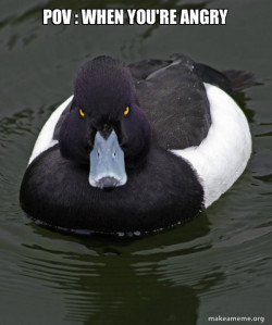 Revenge Duck ( Angry Advice Duck )