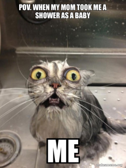 Cat bath