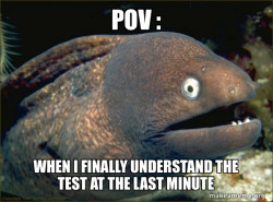 Bad Joke Eel