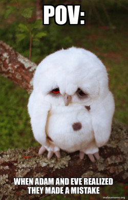 Sad Owl