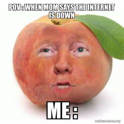 Impeached Donald Trump
