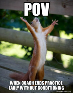 Happy Squirrel