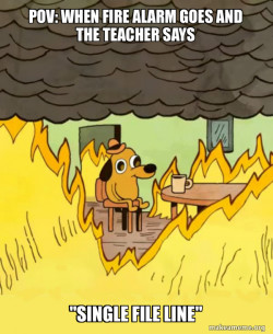 This Is Fine