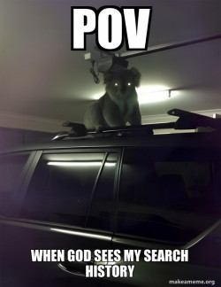 Drop Bear