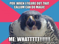 the dragon prince callum  magic