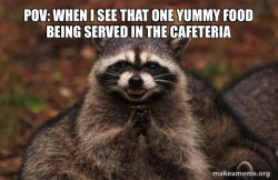 Evil Plotting Raccoon
