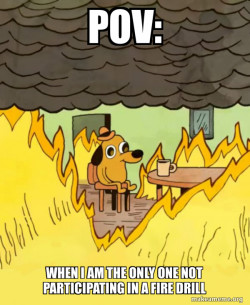 This Is Fine