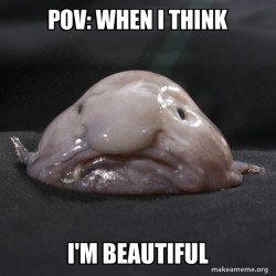 Blobfish
