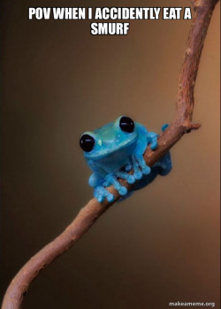 Small Fact Frog
