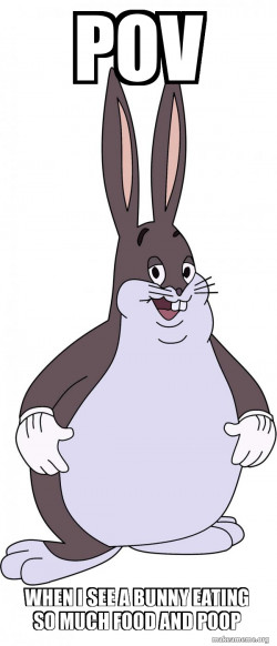 Chungus