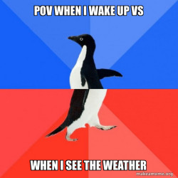 Socially Awkward Awesome Penguin