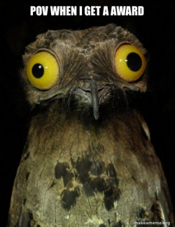 Weird Stuff I do Potoo