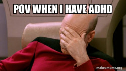 Picard Facepalm
