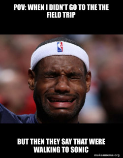 Lebron Crying