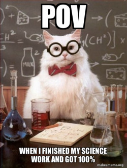 Chemistry Cat
