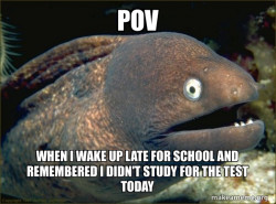 Bad Joke Eel