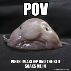 Blobfish