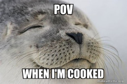 Satisfied Seal