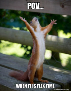 Happy Squirrel