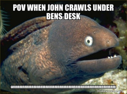 Bad Joke Eel