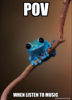 Small Fact Frog