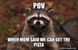 Evil Plotting Raccoon