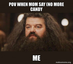 Hagrid - I should not have said that