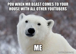 Popular Opinion Polar Bear