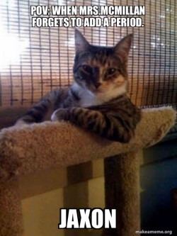 The Most Interesting Cat in the World