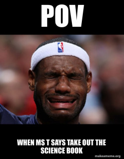 Lebron Crying