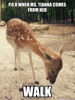 O M G Deer