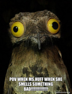 Weird Stuff I do Potoo