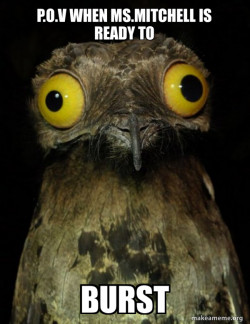 Weird Stuff I do Potoo