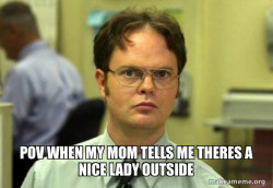 Schrute Facts (Dwight Schrute from The Office)