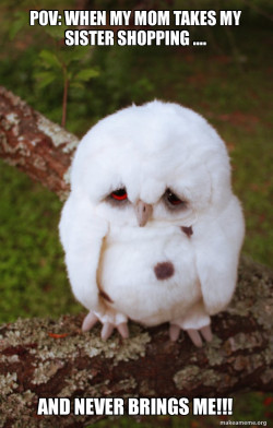Sad Owl