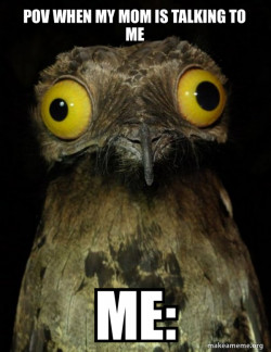Weird Stuff I do Potoo